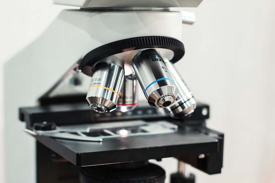 Objective lenses of a microscope
